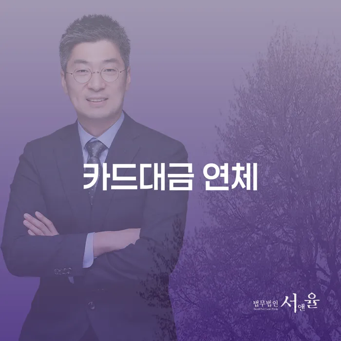 카드론연체 개인회생 검토를 한 다음에는