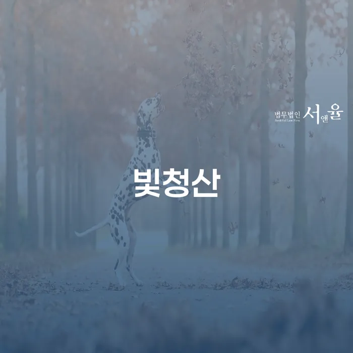 청년대출 연체 시 개인파산 할려는데