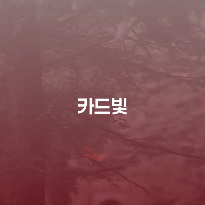 개인회생 변호사 비용 분납 가능하고 추심 대응법 알아야 하는 꿀팁