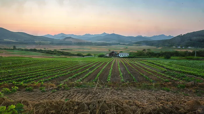 개인회생사건번호조회