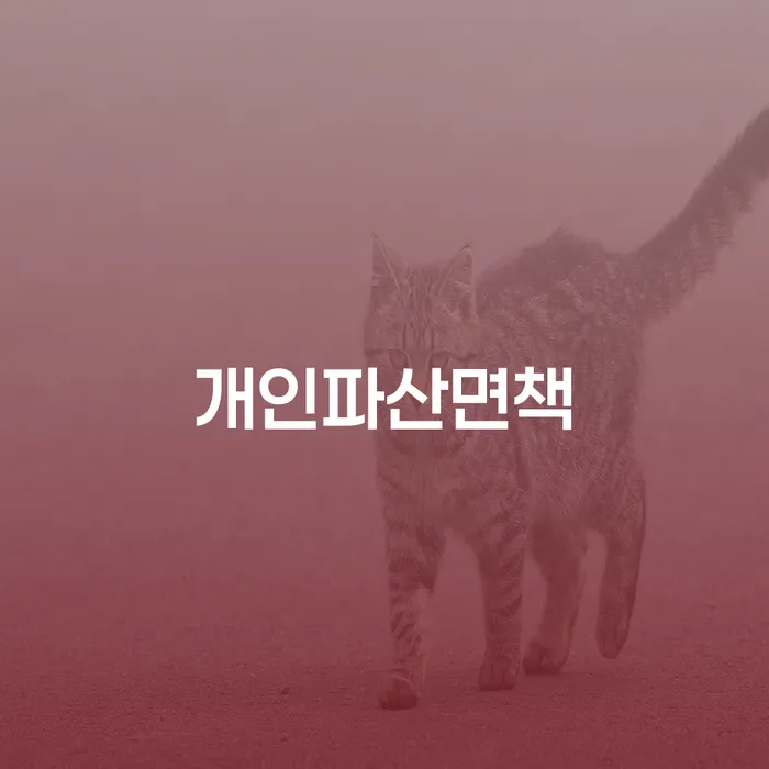 강남구 공무원개인회생 빚 합법적인 빠른방법 하여야 하는 일