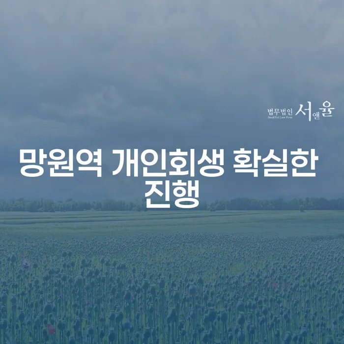 망원역 개인회생 확실한 진행