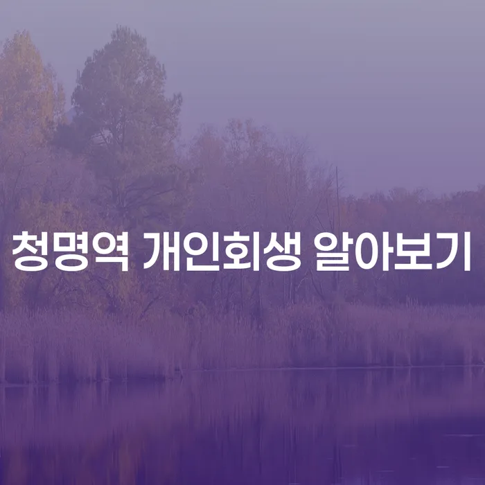 청명역 개인회생 알아보기