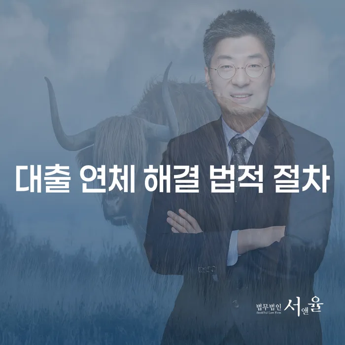 대출 연체 해결 법적 절차: 어떻게 해야 할까요?