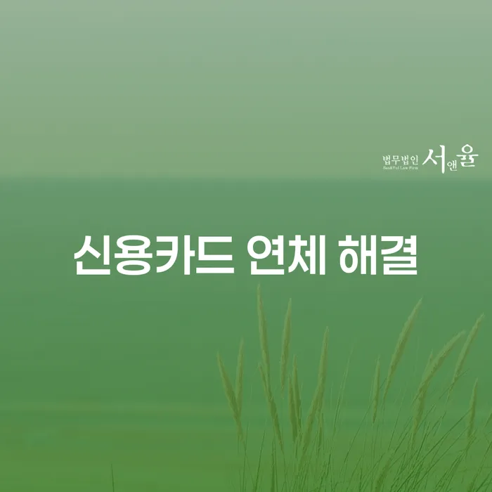 신용카드 연체 해결, 어떻게 해야 할까요?