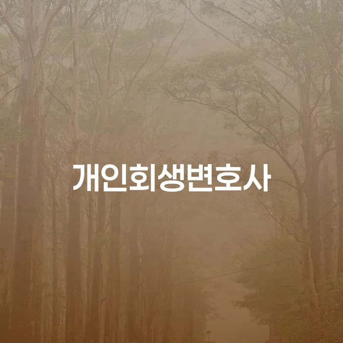 미성동 개인회생 변호사와 개인회생 절차의 이해