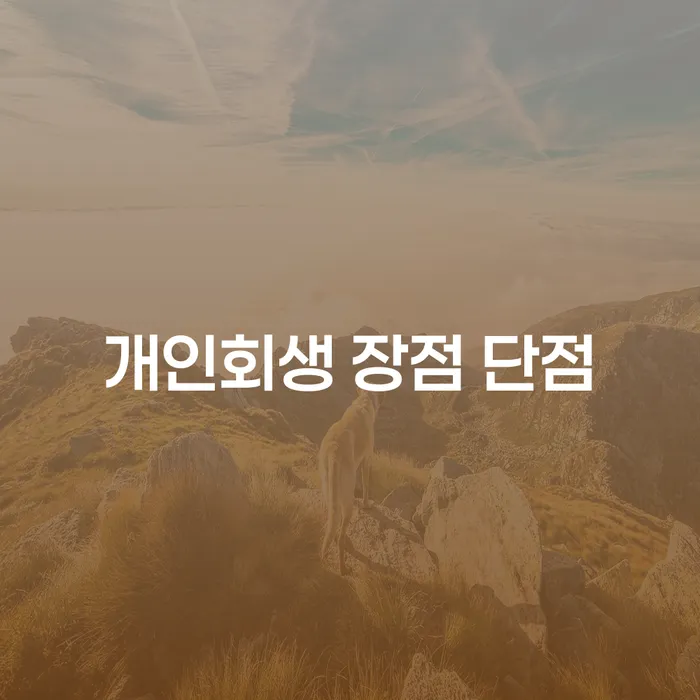 신대방동 개인회생 장점과 단점 완벽 가이드