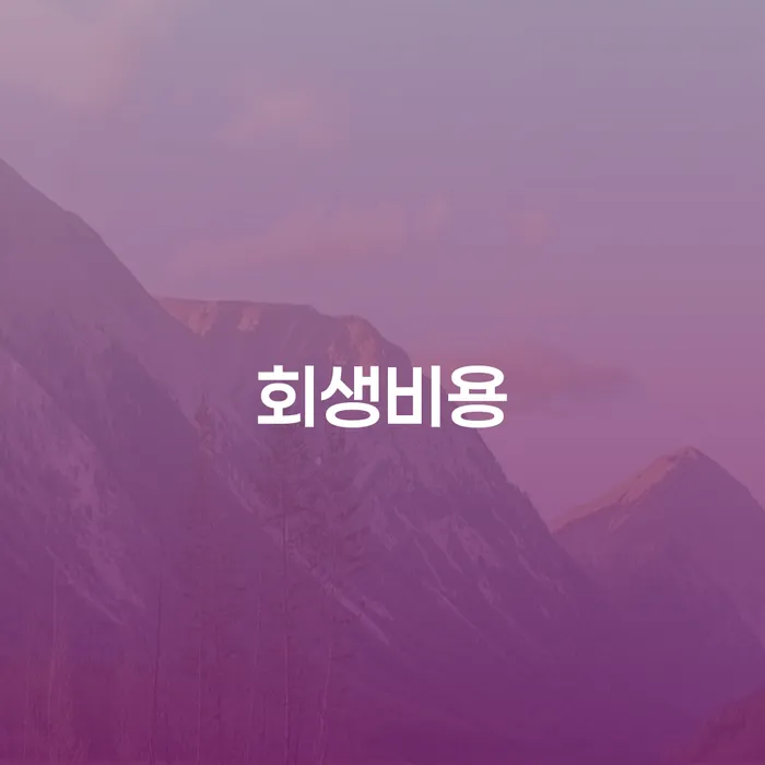 회생비용과 관련된 궁금증을 해결해 드립니다: 개인회생과 파산, 무엇이 나에게 맞을까?