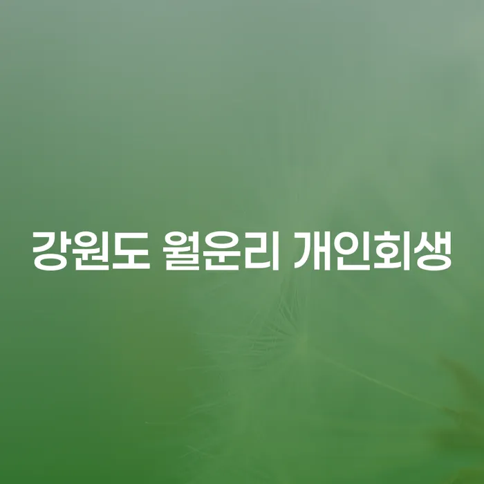 강원도 월운리 개인회생: 채무 해결의 시작을 알아보세요