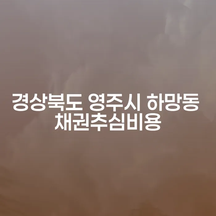 경상북도 영주시 하망동 채권추심비용, 알고 계신가요?