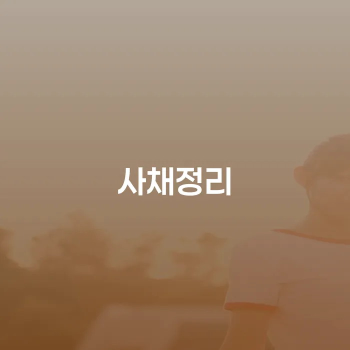 사채정리를 통해 채무에서 벗어날 수 있는 방법은 무엇일까요?